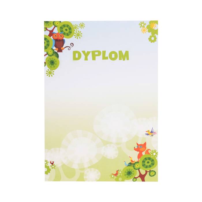 Dyplom A4 170g Bajka - 25szt. AG6780 01