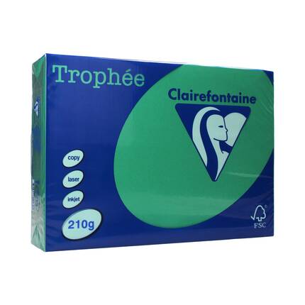 Papier ksero A4 210g zieleń choinkowa Trophee 2213 EM2108 01
