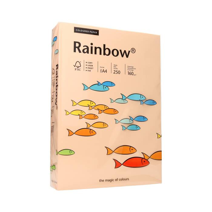 Papier ksero A4 160g łososiowy Rainbow 40 PI1073 01