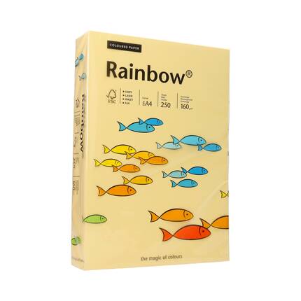 Papier ksero A4 160g kość słoniowa Rainbow 06 PI1066 01