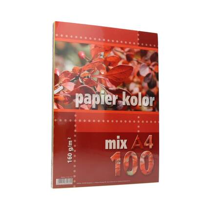Papier ksero A4 160g mix Kreska (100) KR2008 01