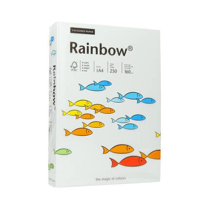 Papier ksero A4 160g jasnoszary Rainbow 93 PI1079 01