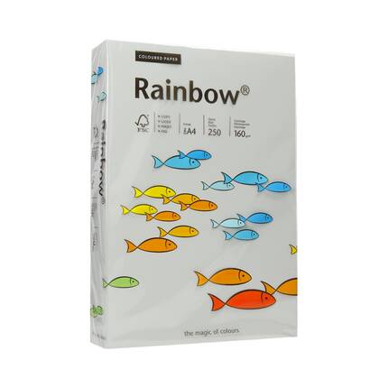 Papier ksero A4 160g szary Rainbow 96 PI1083 01