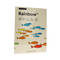 Papier ksero A3 80g kremowy Rainbow 03 PI1031 01