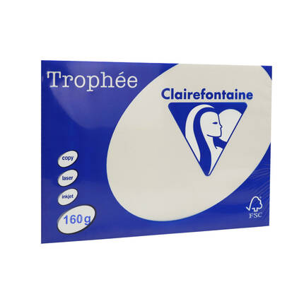 Papier ksero A4 160g szary Trophee 1041 EM2054 01