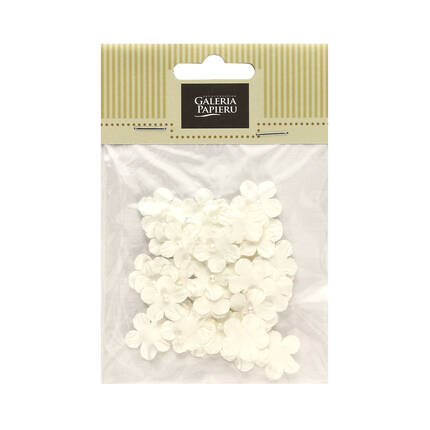 Kwiaty papierowe Niezapominajki białe (50) AG4149 01