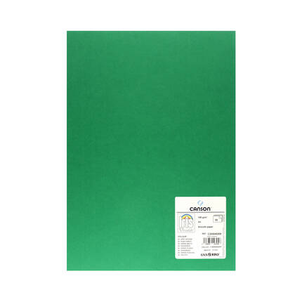 Karton kolor A3 zieleń bilardowa Iris209 Canson PR5699 02