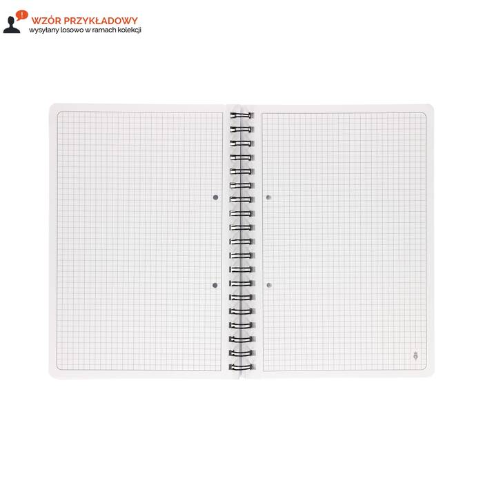 Kołozeszyt B5/100 kratka Academy pastel Interdruk 90g IR1176 02