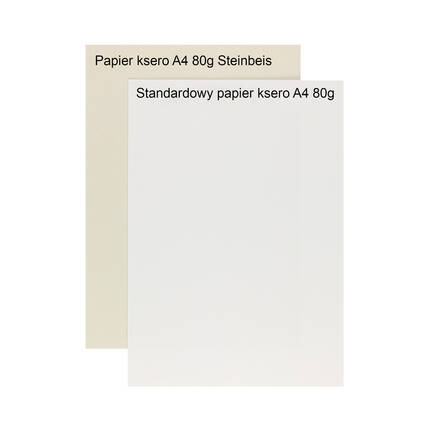 Papier ksero ekologiczny - niebielony A4 80g 55 Steinbeis (500) SB5000 02