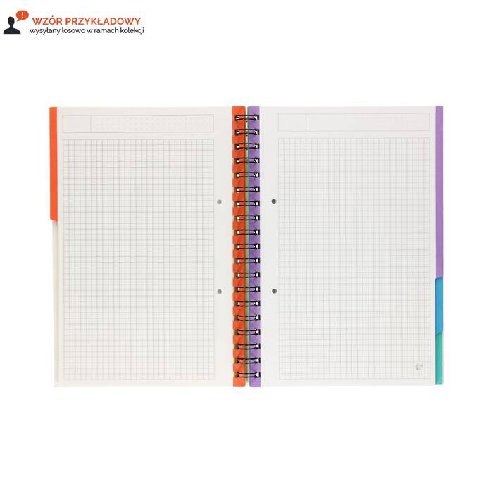 Kołozeszyt B5/100 kratka 5kol register Interdruk IR5348 02