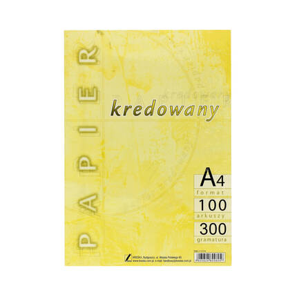 Papier kredowy A4 300g Kreska (100) KR2037 01