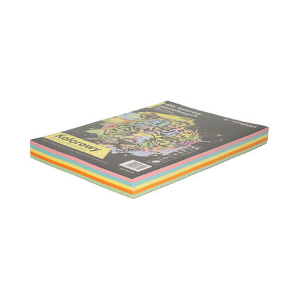 Papier ksero A4 80g mix kolorów pastelowych Emerson (250) EM3092 02