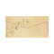 Zestaw voucher + koperta DL Ginkgo - 5szt. AG4420 02