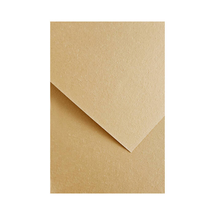 Karton wizytówkowy A4 220g Wood beżowy (20) AG7358 01