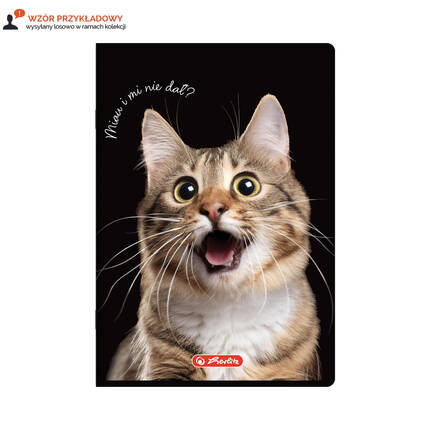 Zeszyt A5/60 linia Crazy Animal Herlitz 400196838 VH4049 01