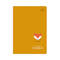 Zeszyt A5/16 linia kolor Friends Boys BeBe 3szt. IR1494 01