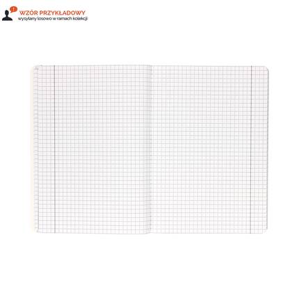 Zeszyt A5/60 kratka Academy Interdruk 90g IR1160 02