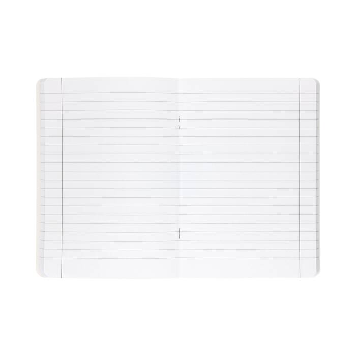 Zeszyt A5/60 linia Academy Język Polski Interdruk 90g IR1358 02