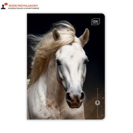 Zeszyt A5/16 linia kolor UV Wild Horses Interdruk IR1671 01