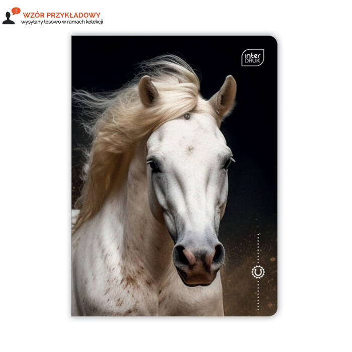 Zeszyt A5/16 linia kolor UV Wild Horses Interdruk IR1671 01