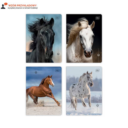 Zeszyt A5/16 linia kolor UV Wild Horses Interdruk IR1671 02