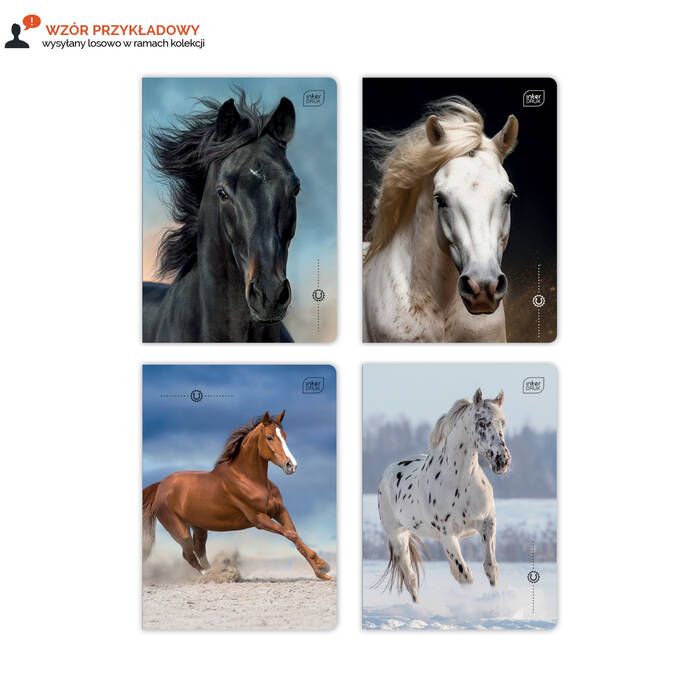 Zeszyt A5/16 linia kolor UV Wild Horses Interdruk IR1671 02