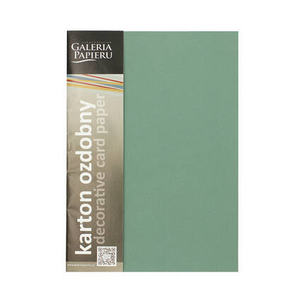 Karton wizytówkowy A4 220g Sawanna/szałwiowy - 20 ark. AG1186 01