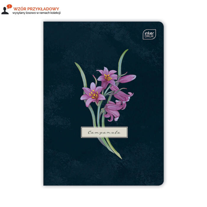Zeszyt A5/80 w kratkę Hybrid Fiori Interdruk 70g IR1687 01