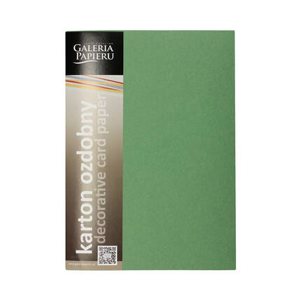 Karton ozdobny A4 220g Earth/zielony (20) AG4358 01