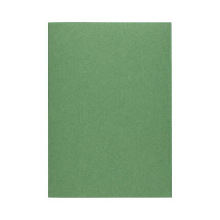 Karton ozdobny A4 220g Earth/zielony (20) AG4358 02
