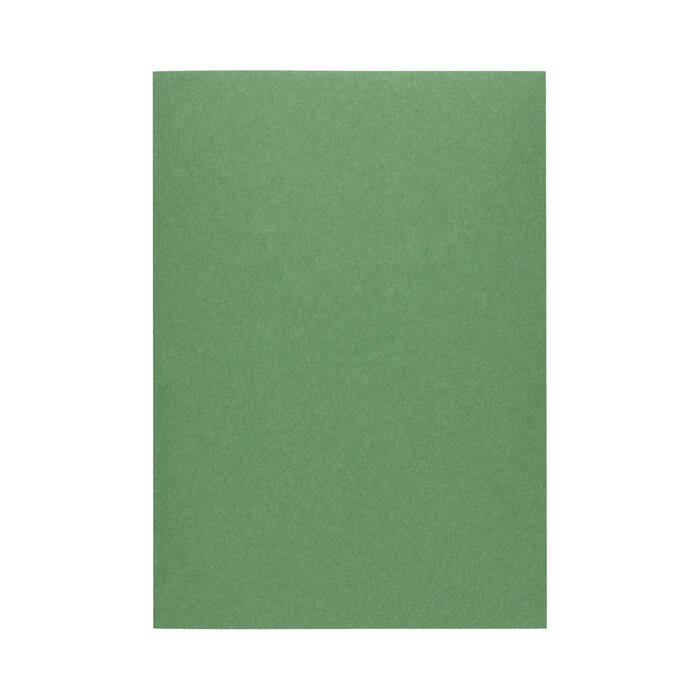 Karton ozdobny A4 220g Earth/zielony (20) AG4358 02
