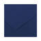 Karton kolor 50x65 ultramaryna Colorline Canson PR7111 01