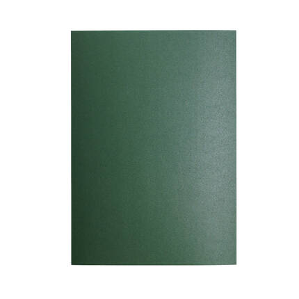 Karton wizytówkowy A4 210g zielony/Pearl (20) AG1236 02