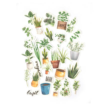 Naklejki ozdobne transparent Rośliny zielone (39) AG4559 01