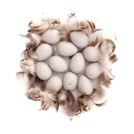 Jajka przepiórcze z piórkami beżowe DP8315 01