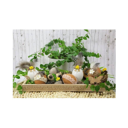 Jajka przepiórcze z piórkami beżowe DP8315 02